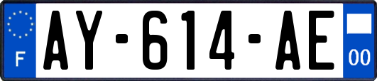 AY-614-AE