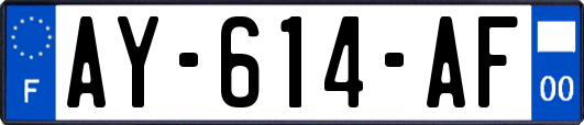 AY-614-AF