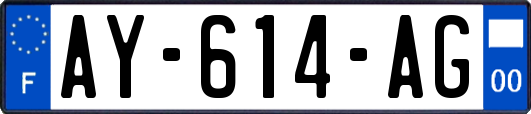 AY-614-AG