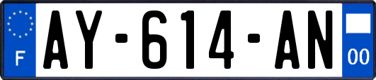 AY-614-AN