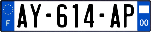 AY-614-AP