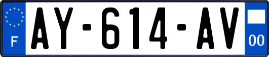 AY-614-AV