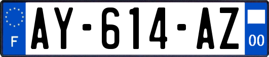 AY-614-AZ