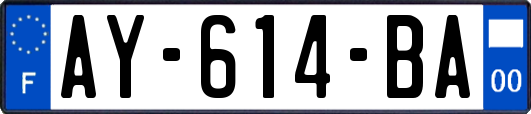 AY-614-BA