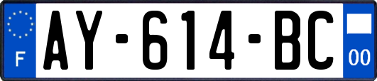 AY-614-BC