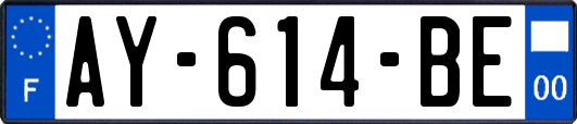 AY-614-BE