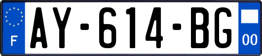 AY-614-BG