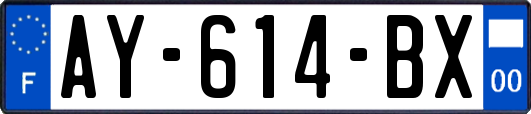 AY-614-BX