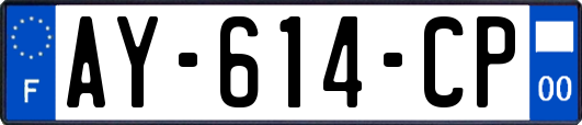 AY-614-CP