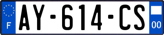 AY-614-CS