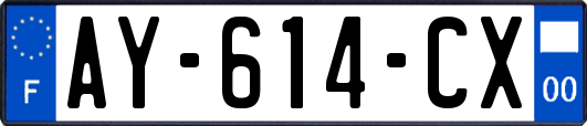 AY-614-CX