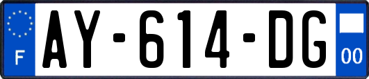AY-614-DG