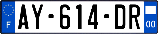 AY-614-DR