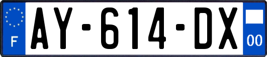 AY-614-DX
