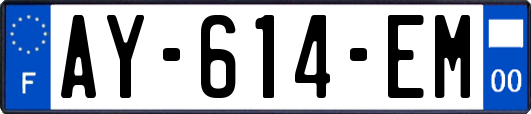AY-614-EM