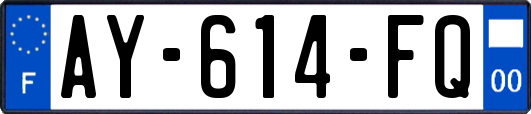 AY-614-FQ