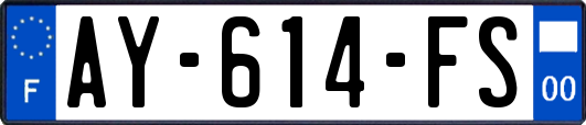 AY-614-FS