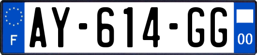 AY-614-GG