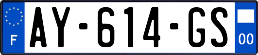 AY-614-GS
