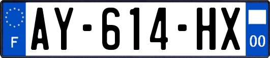 AY-614-HX