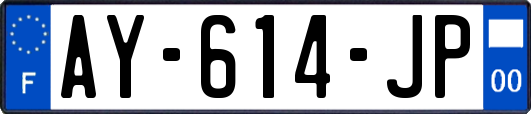 AY-614-JP