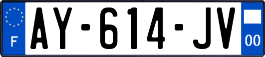 AY-614-JV