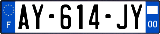 AY-614-JY
