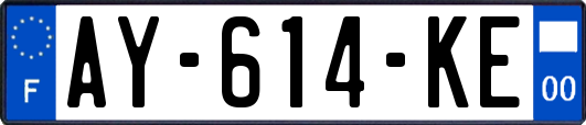 AY-614-KE