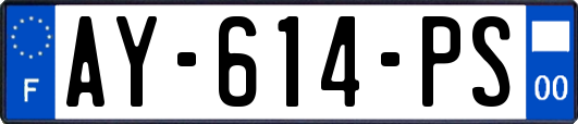 AY-614-PS