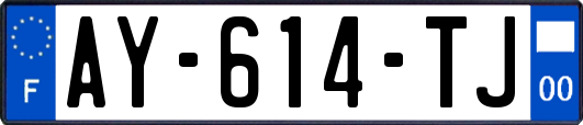 AY-614-TJ