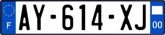 AY-614-XJ