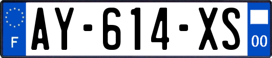 AY-614-XS