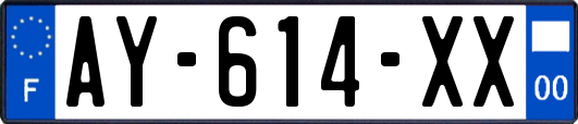 AY-614-XX