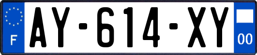 AY-614-XY