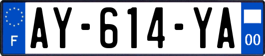 AY-614-YA