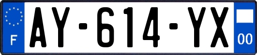 AY-614-YX
