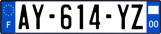 AY-614-YZ
