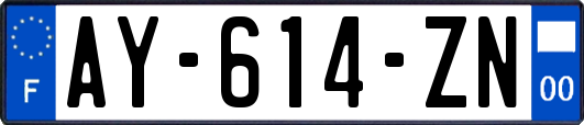 AY-614-ZN