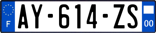 AY-614-ZS