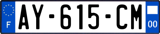 AY-615-CM