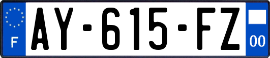 AY-615-FZ