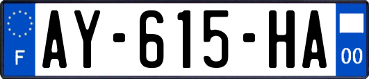 AY-615-HA