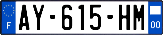 AY-615-HM