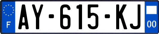 AY-615-KJ