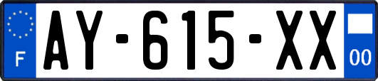 AY-615-XX