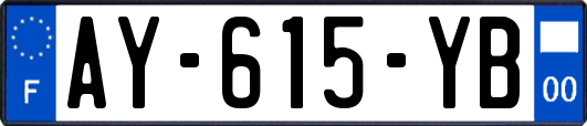 AY-615-YB