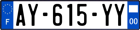 AY-615-YY