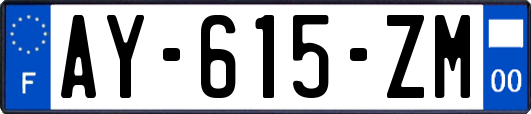 AY-615-ZM