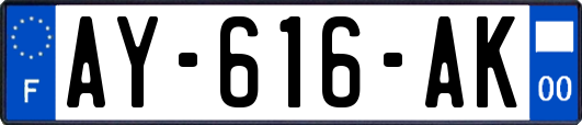 AY-616-AK