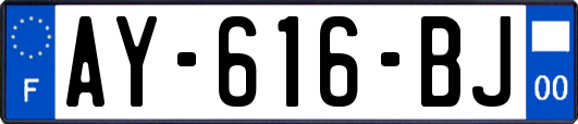 AY-616-BJ